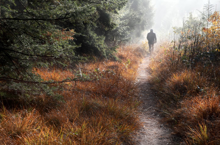 Natuurbeheerplannen en de bestemming van een gebied